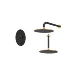 شیر حمام توکار روگن شودر تیپ ۱ BRASS رنگ مشکی طلا